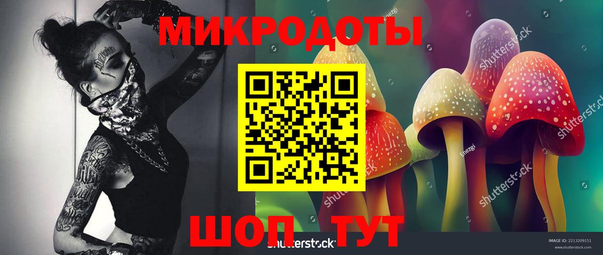 Псилоцибиновые грибы Cubensis  Вход с VPN  Шахты 